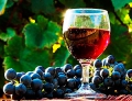 Если хочешь быть здоров… пей красное вино