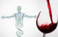 Красное вино полезно для микробиоты кишечника