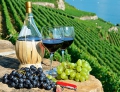 Главные вина каждого региона Италии: шпаргалка