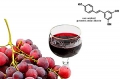 Красное вино и домашний виноград предотвращают появление тромбов в сосудах