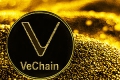 Знакомство с криптовалютой VeChain (VET): особенности, преимущества, покупка и вывод на карту Сбербанка