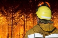 Героическая борьба с лесными пожарами... не имеет смысла