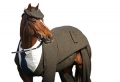 Кто такой конь в пальто? Восемь фразеологизмов про одежду, истинный смысл которых вас удивит